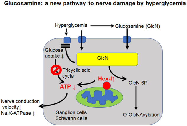 Graphical Abstract