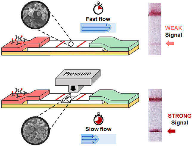 graphic file with name 13206_2022_85_Figa_HTML.jpg