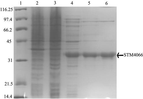 FIG. 6.