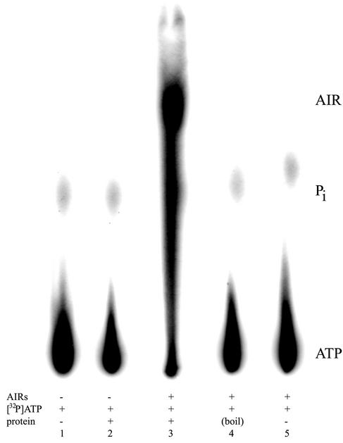 FIG. 7.