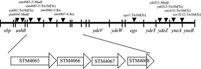 FIG. 2.