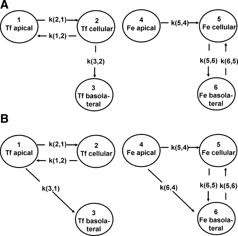 Fig. 7.