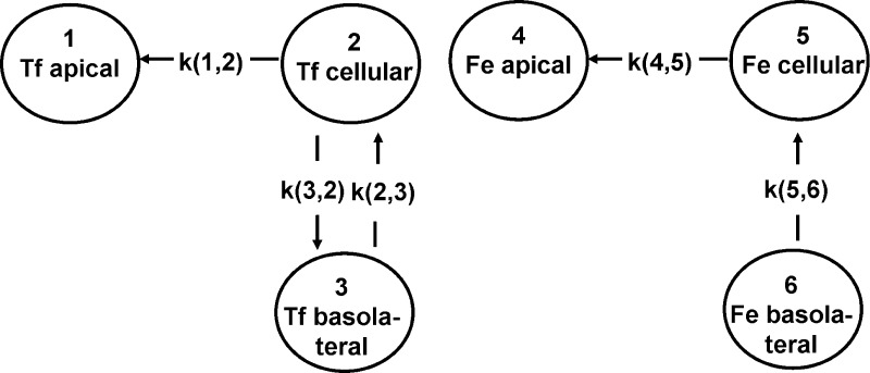 Fig. 9.