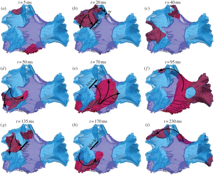 Figure 4.