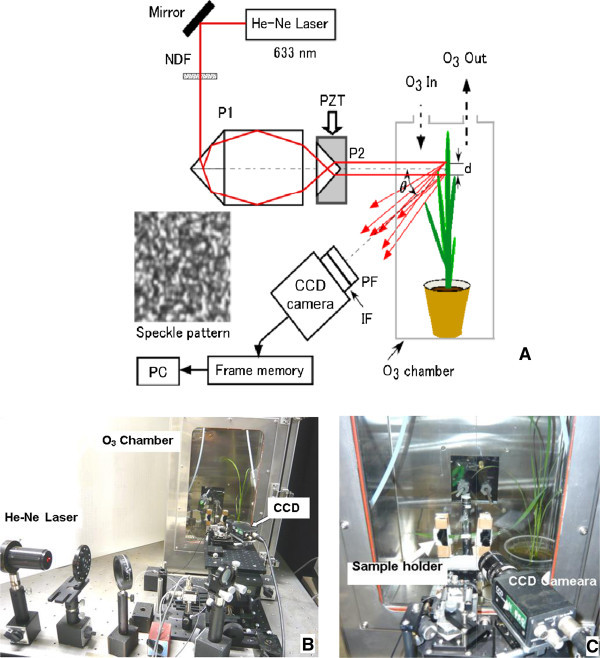 Figure 6