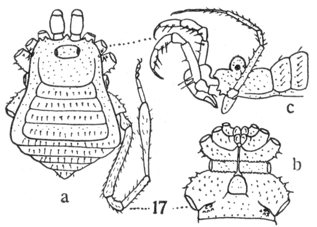 Figure 16.