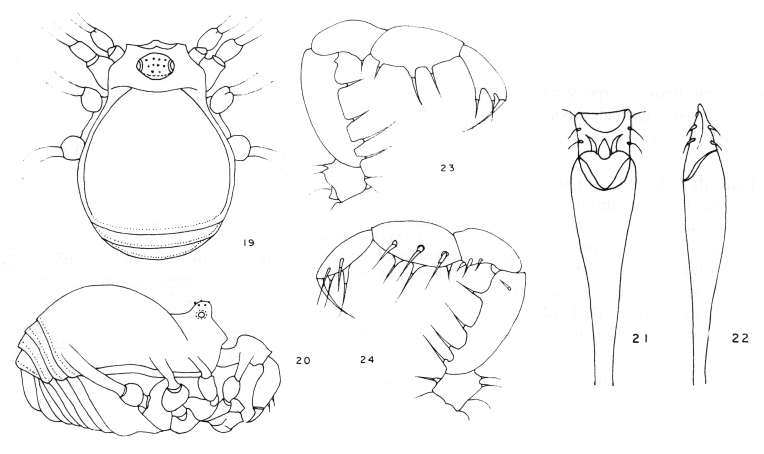 Figure 13.