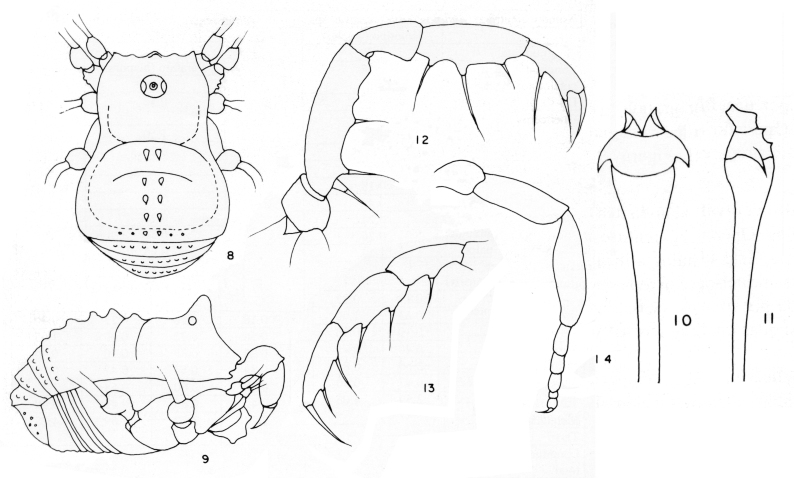 Figure 9.