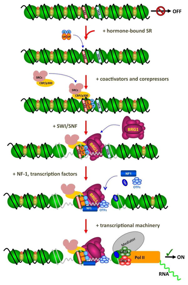 Figure 2