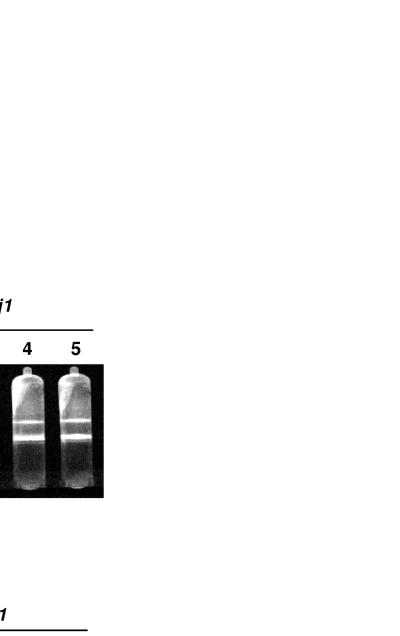 FIG. 9