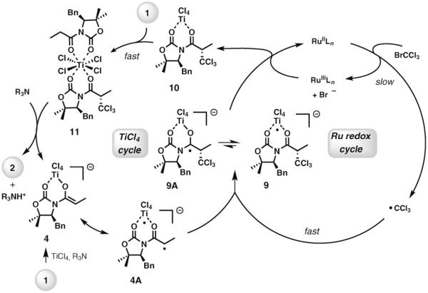 Scheme 5