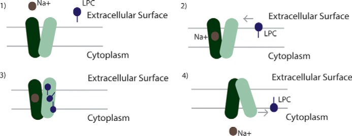 FIGURE 6.