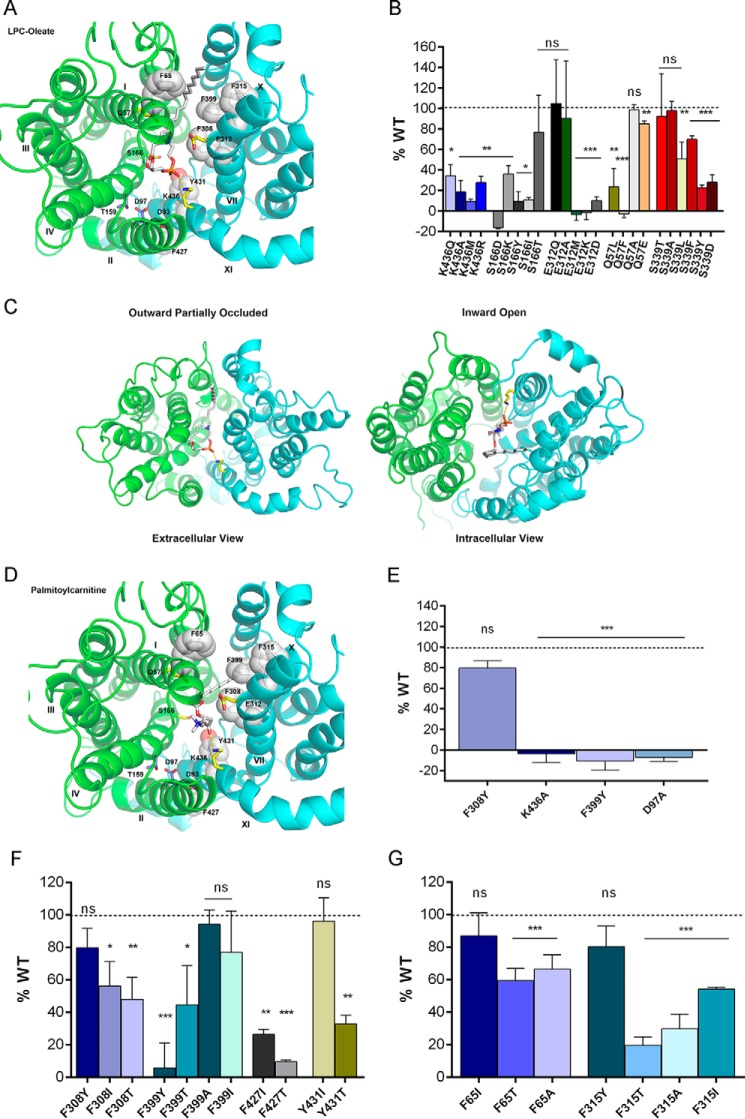 FIGURE 4.