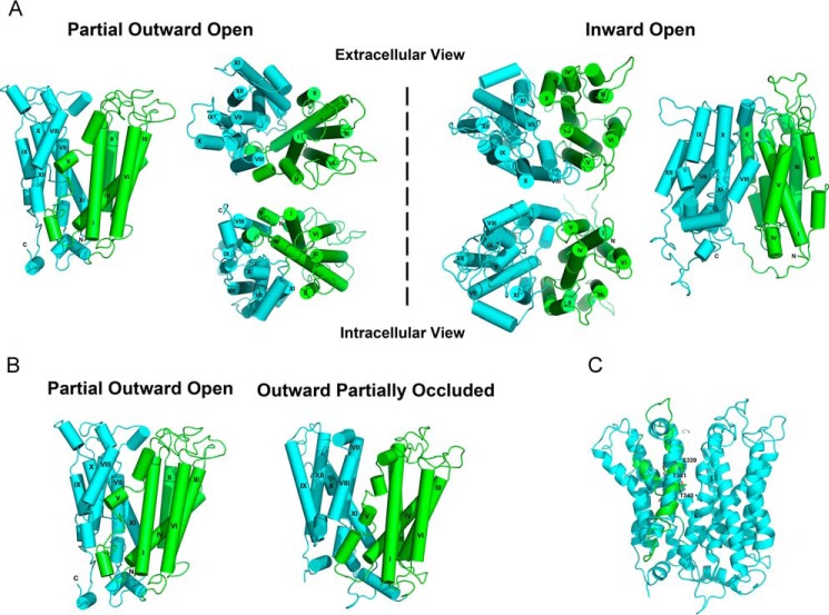 FIGURE 1.