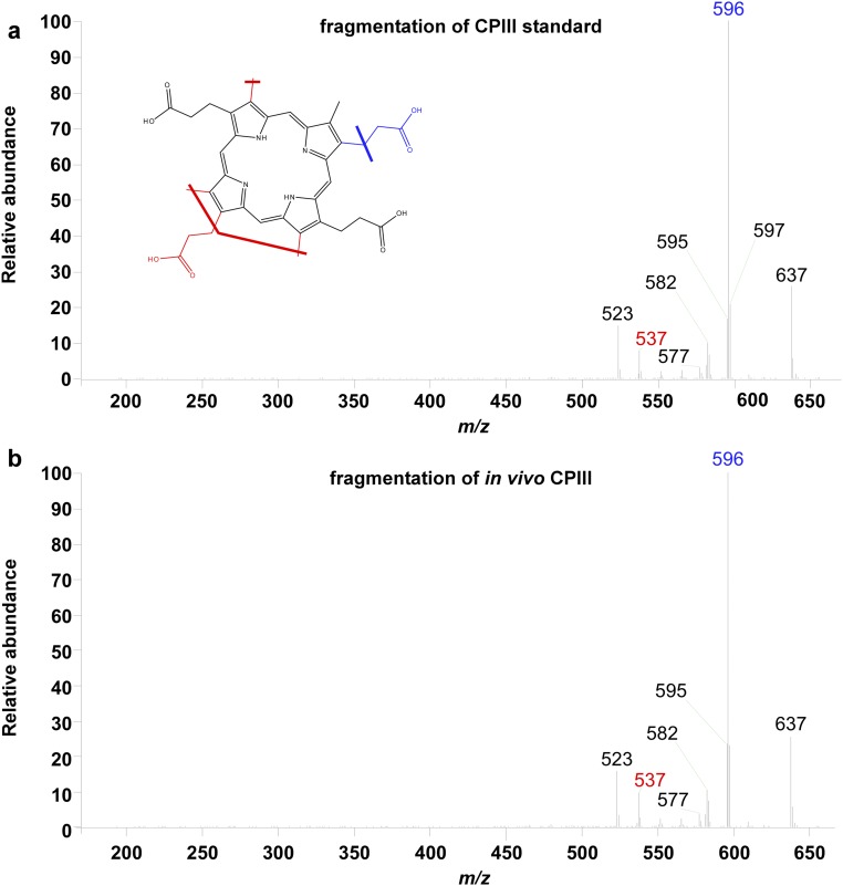 Fig. S3.