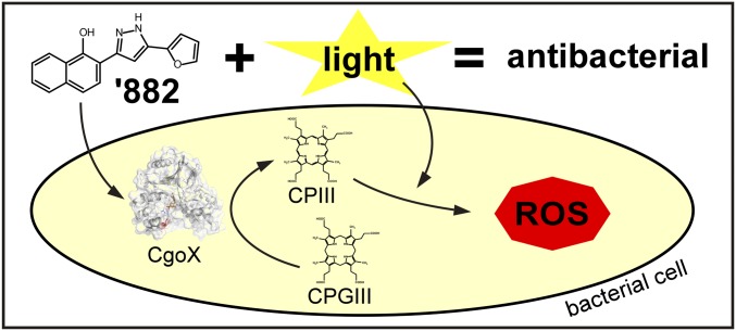 Fig. S1.