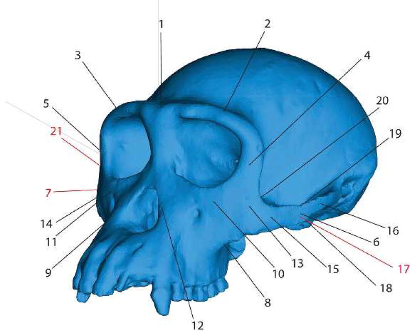 Figure 9