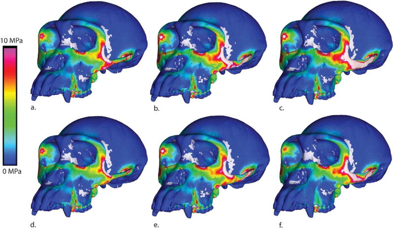 Figure 13