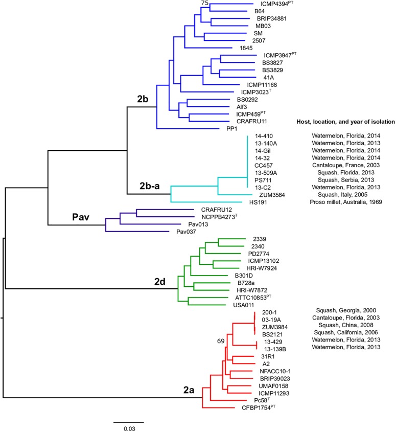 FIGURE 1