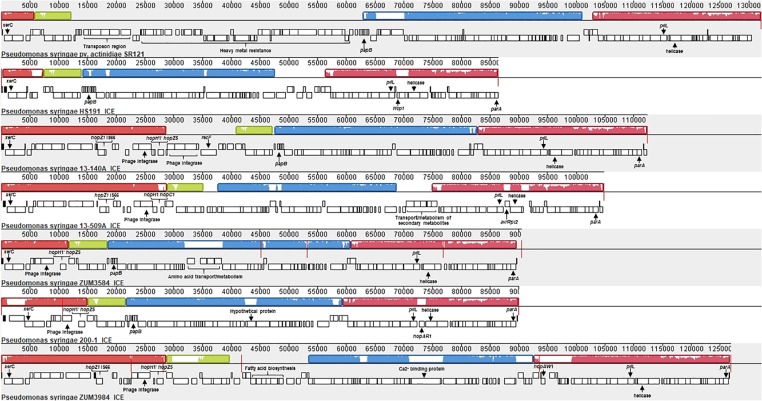 FIGURE 6