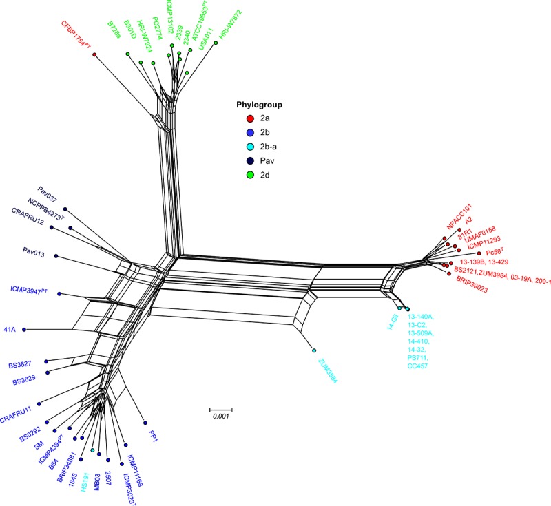 FIGURE 4