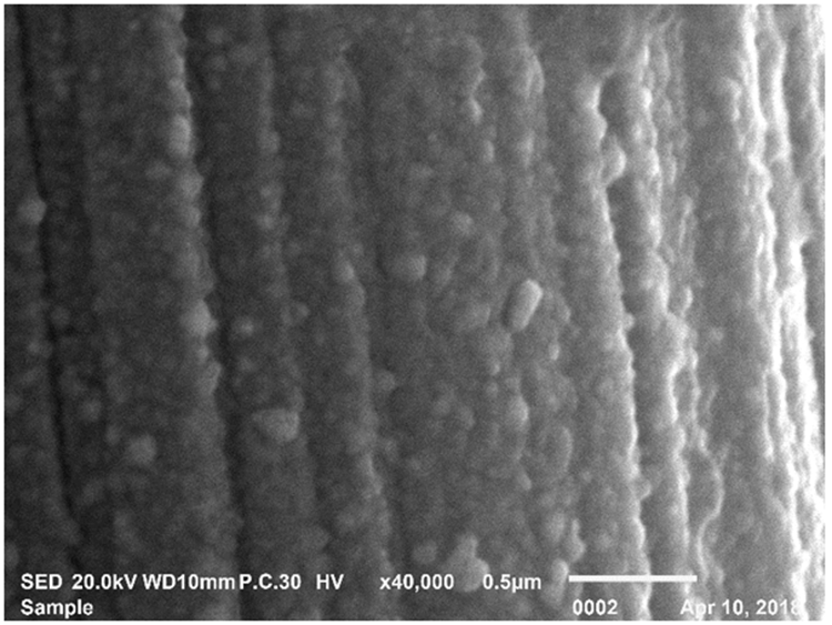 Figure 2: