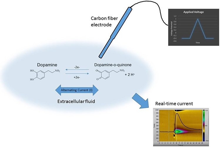 Figure 1: