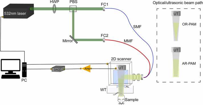 Fig. 1