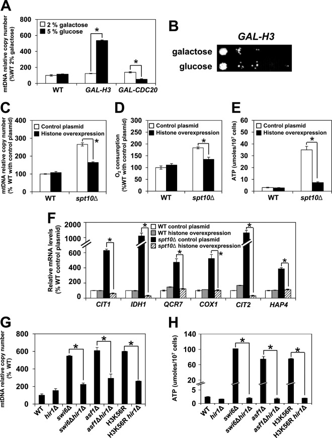 FIG 3