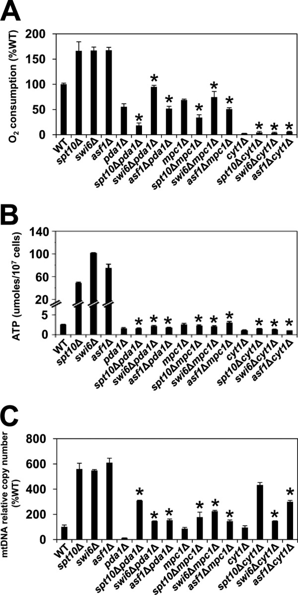 FIG 6