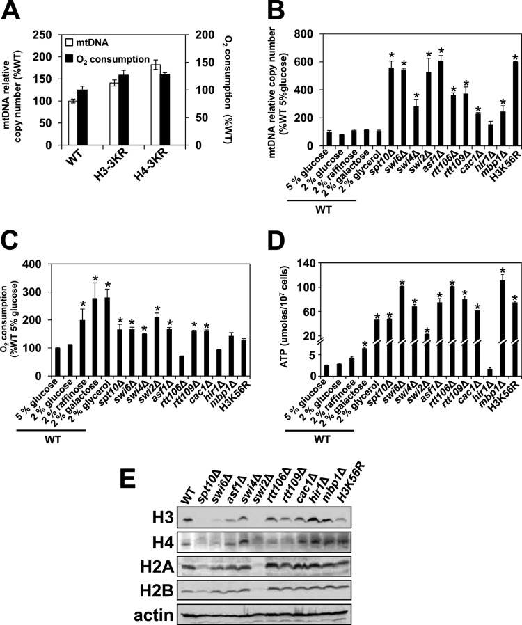 FIG 1