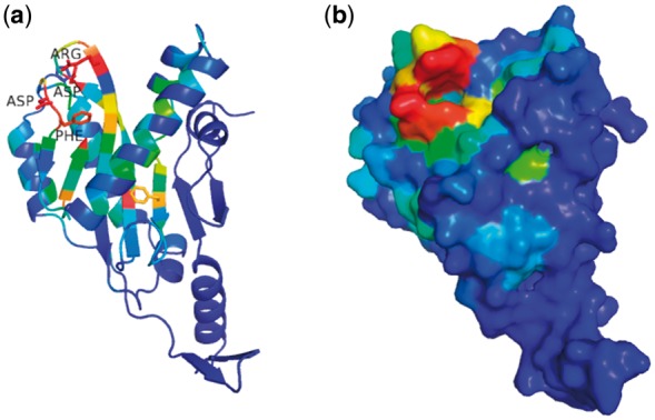 Fig. 4.