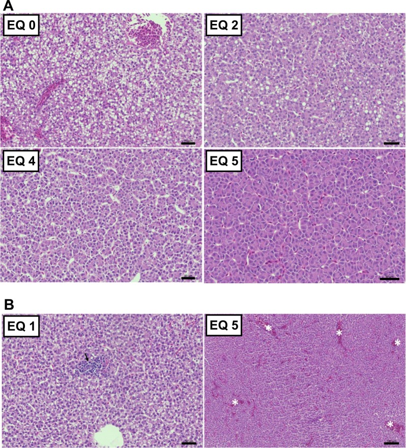 Fig 9