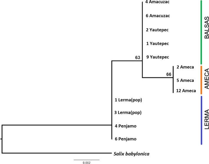 Figure 2