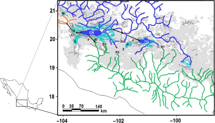 Figure 1