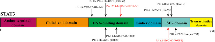 Fig. 2