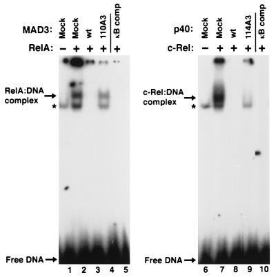 FIG. 10