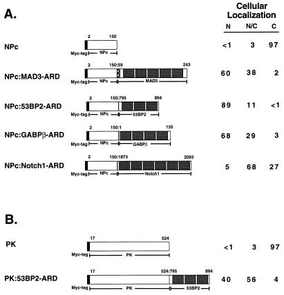 FIG. 7