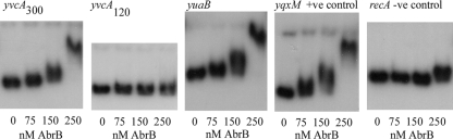 FIG. 3.