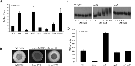 FIG. 5.