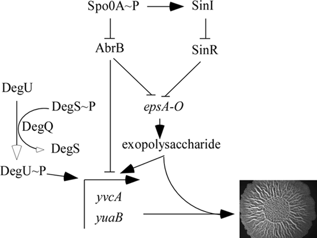 FIG. 6.