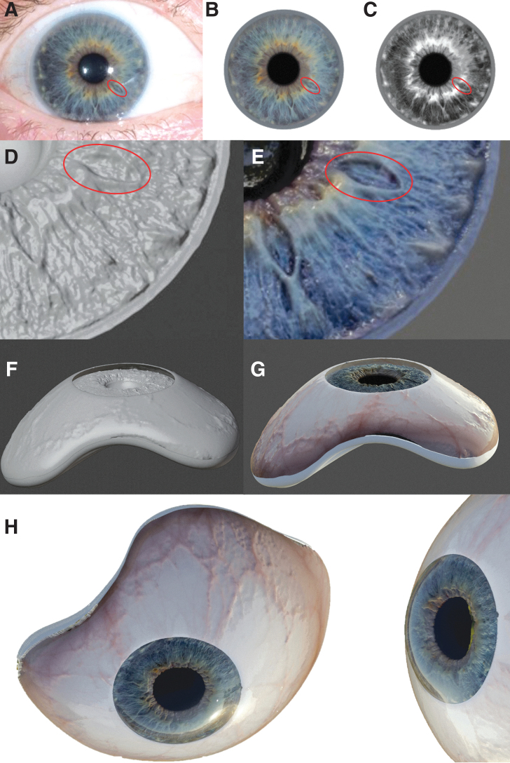 FIG. 2.