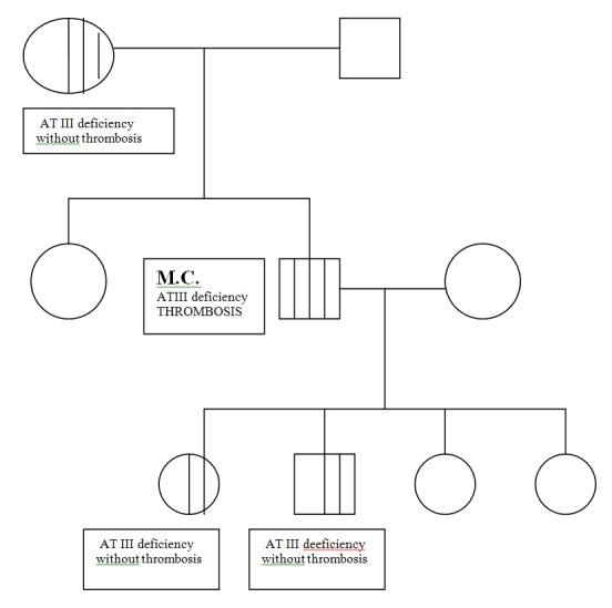 Fig.1