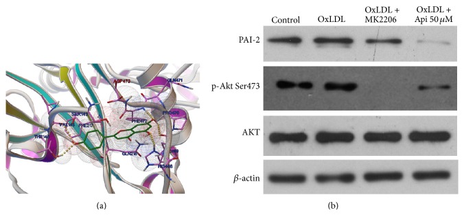 Figure 5