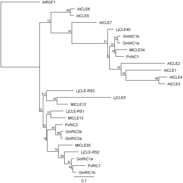 Figure 7