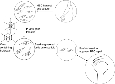 Fig. 1