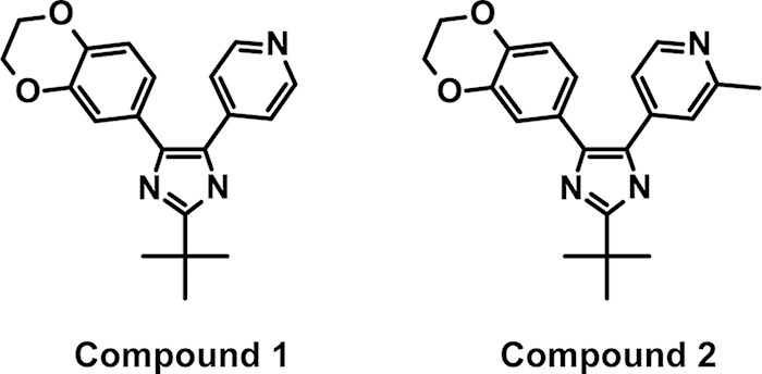 FIG 2