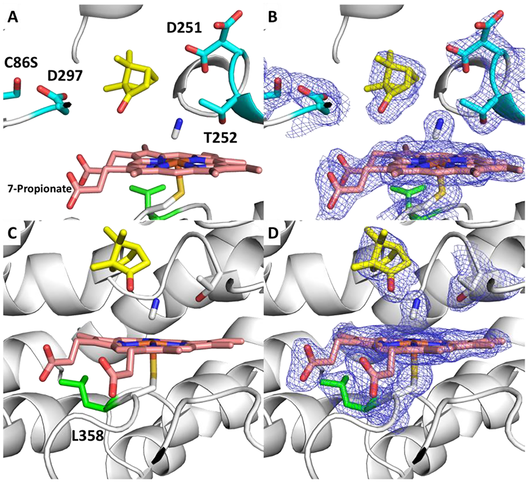 Figure 5.