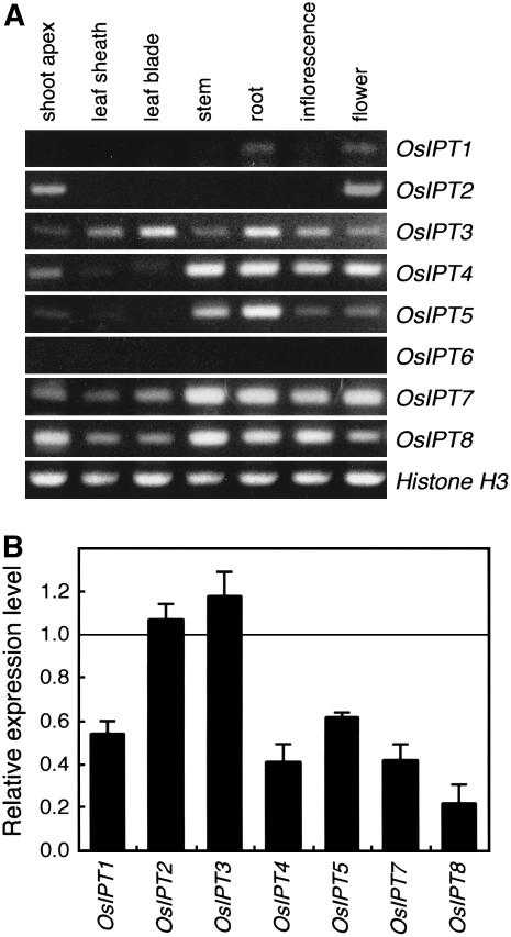 Figure 2.