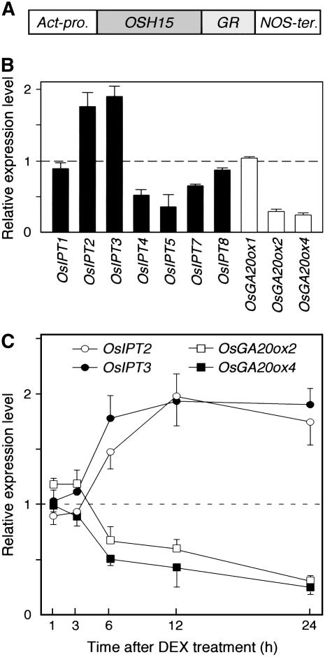 Figure 5.